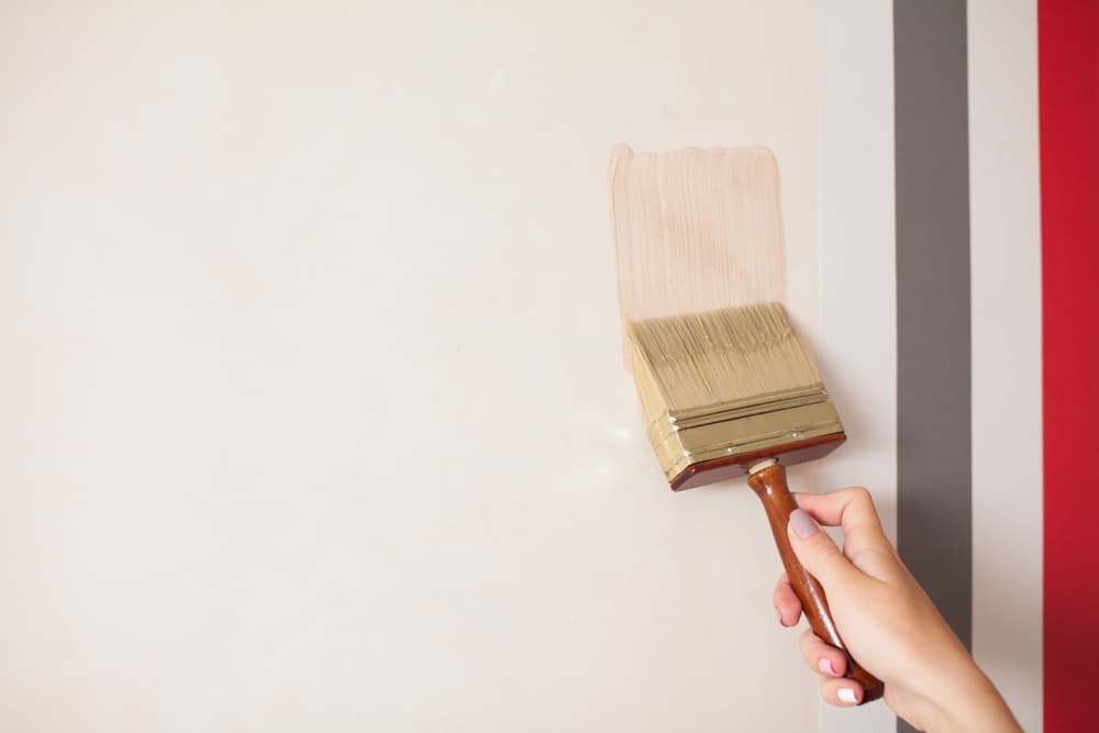 PINTURAS Y ANTICORROSIVOS