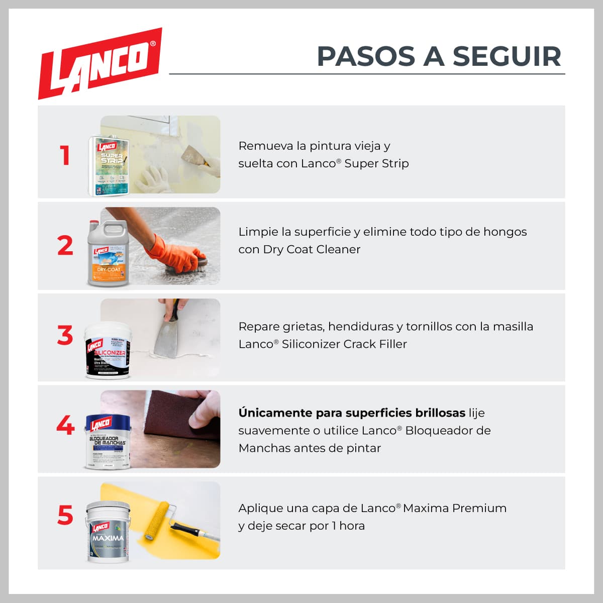 Maxima Premium - imagen 3