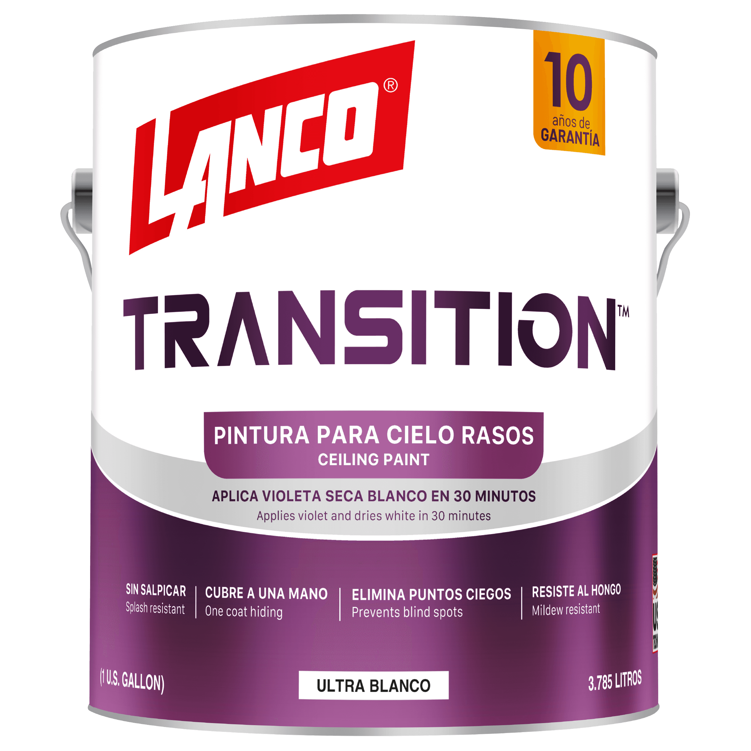 TRANSITION CELING PAINT